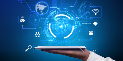 土特产企业技术赋能 商情洞察、技术开发与咨询一体化解决方案